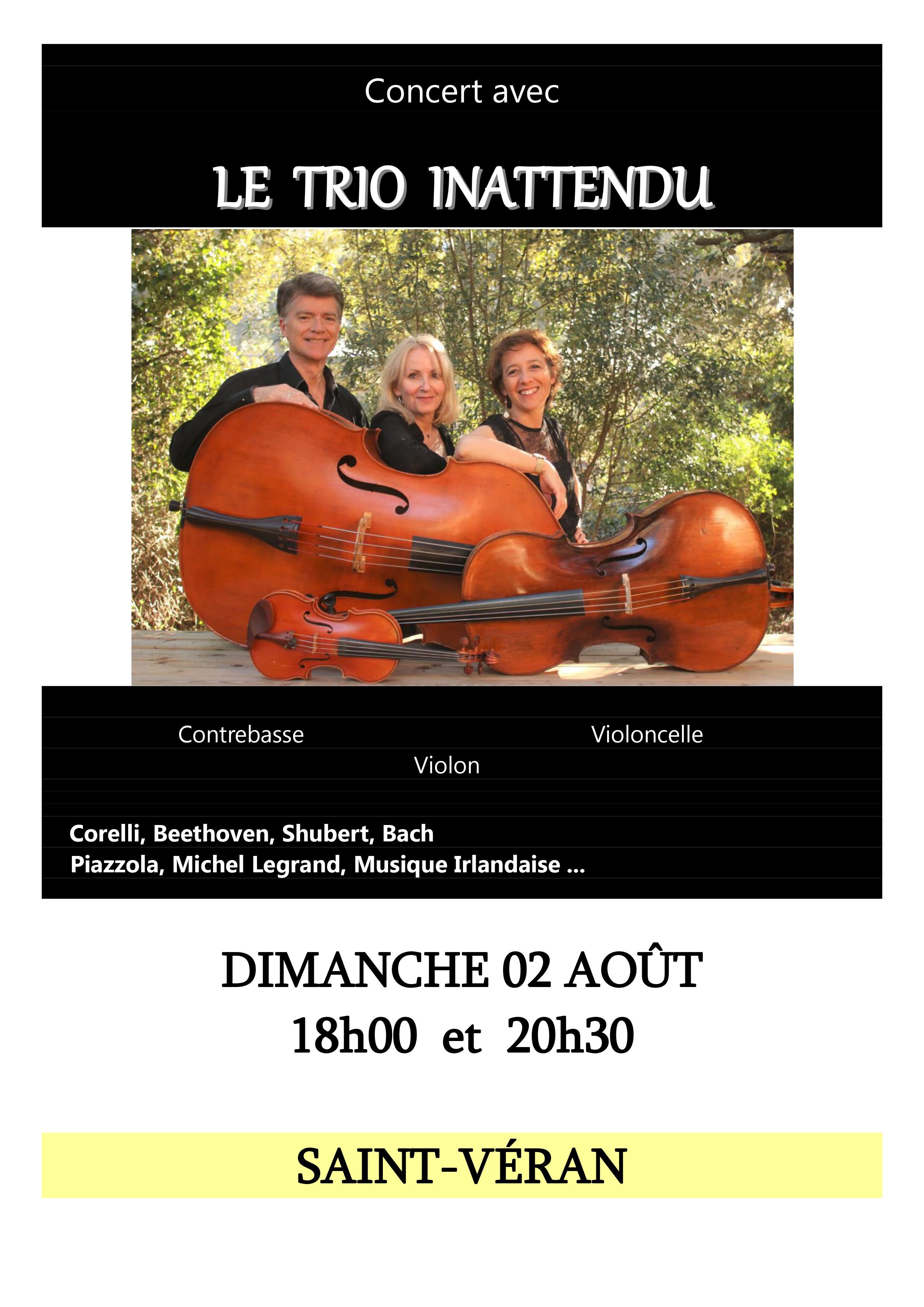 Affiche Trio inattendu